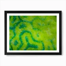 Abstract Green Pattern Fabric Textu Framed Wall Art Poster Canvas Print Picture