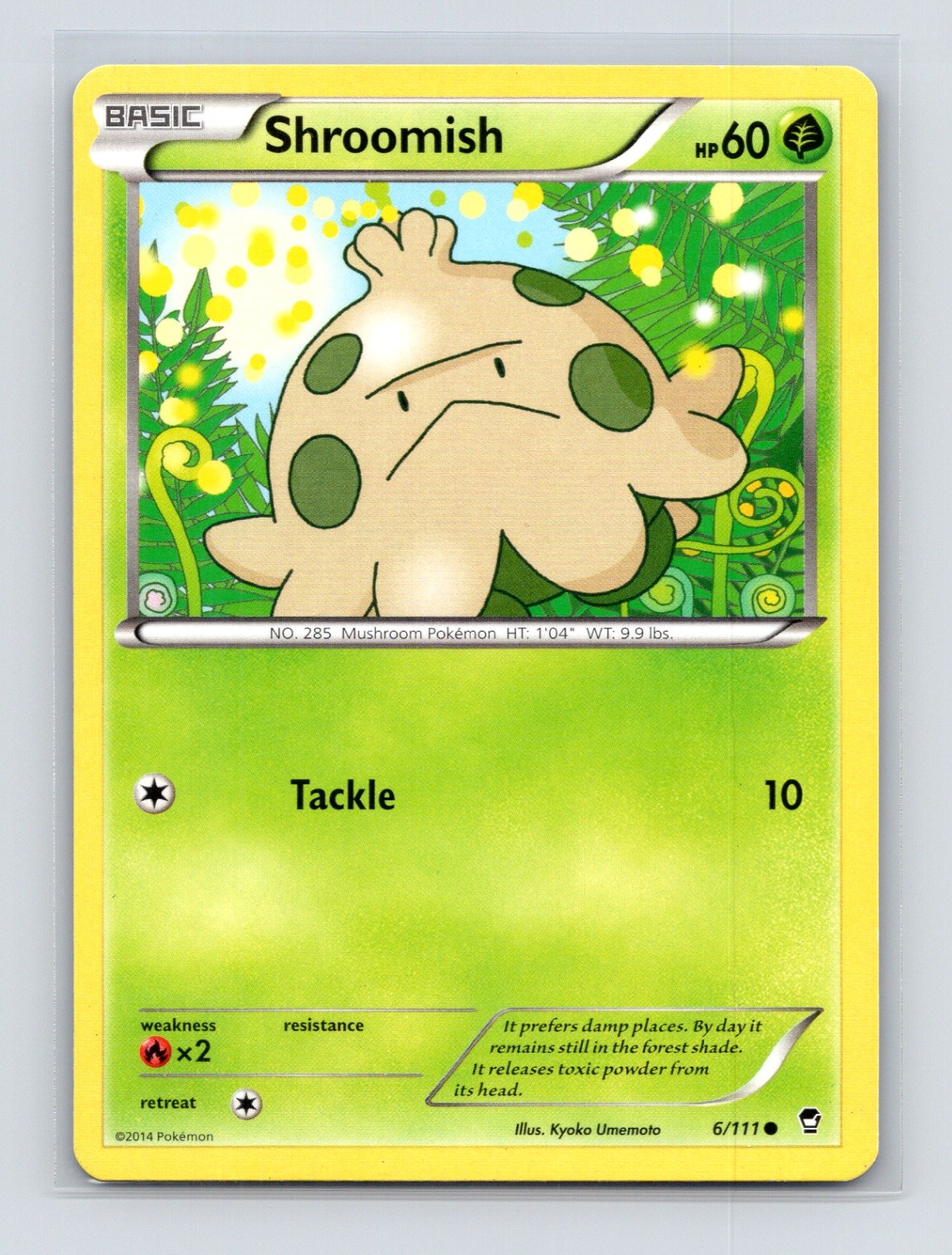 Pokémon TCG Shroomish 6/111 XY - Furious Fists Normal LP