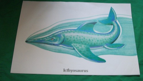 1980 ARGUS ART PRINT COLLIN FRY ICTHYOSAURUS DINOSAUR NILES ILLINOIS LITHOGRAPH - Foto 2 di 4