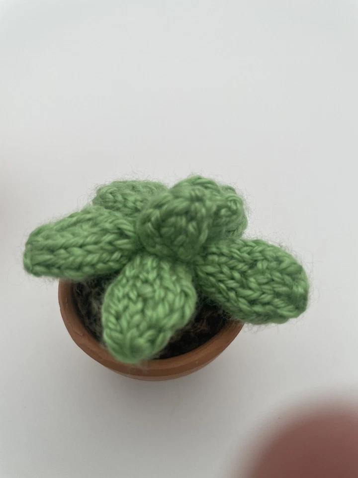 Dos pequeñas plantas tejidas de cactus en maceta rosa y verde en pequeñas macetas de terracota Foto 4 de 4