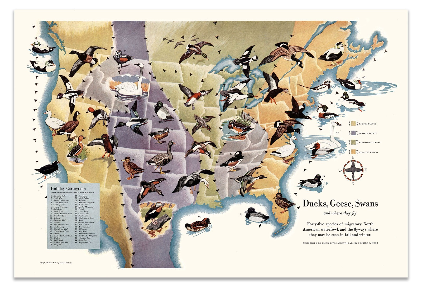 Ducks, Geese & Swans Flyways Map Poster – United States Migration ...