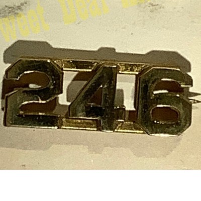 Early/Mid 1900s Brass C-Clasp Number ''246'' Collar Device 3/8''H Hat / Lapel Pin