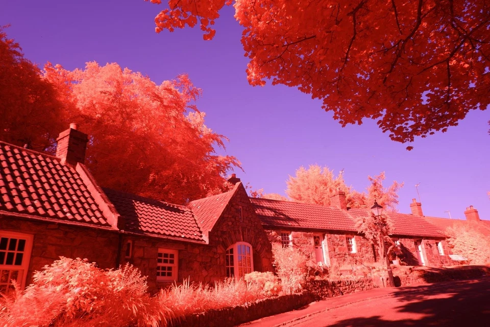 Aerochrome IR-Chrome 49mm filter, Infrared  *** SEE VIDEO *** for Full Spectrum - Image 2 of 4