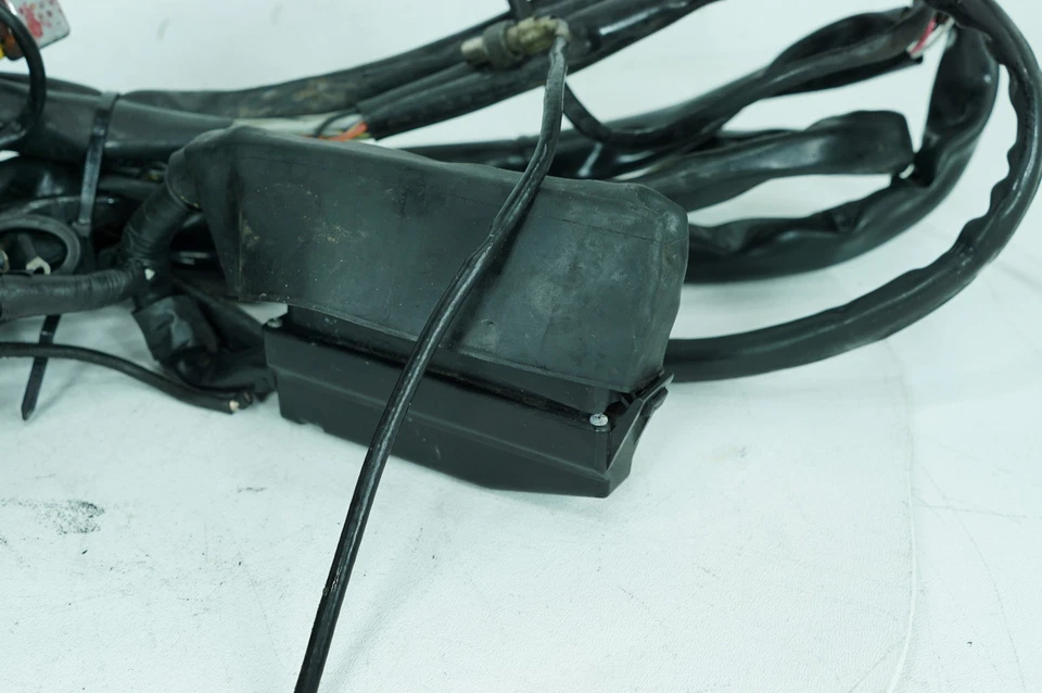 Harley Touring 1998 FLTRI Road Glide OEM cableado principal arnés telar EFI Foto 4 de 4