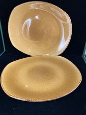 2 Vintage Steelite International England  Terramesa Mustard Brown 12"  Plate