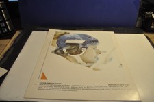 lucien deblois new york rangers 1978 DIMANCHE DERNIERE HEURE photo insert nhl