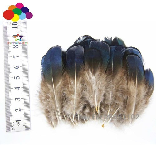 10-100 PCS Natural Blue Pheasant Tail Feathers 2-4 inch/ 5-10cm Carnival costume - Picture 4 of 5
