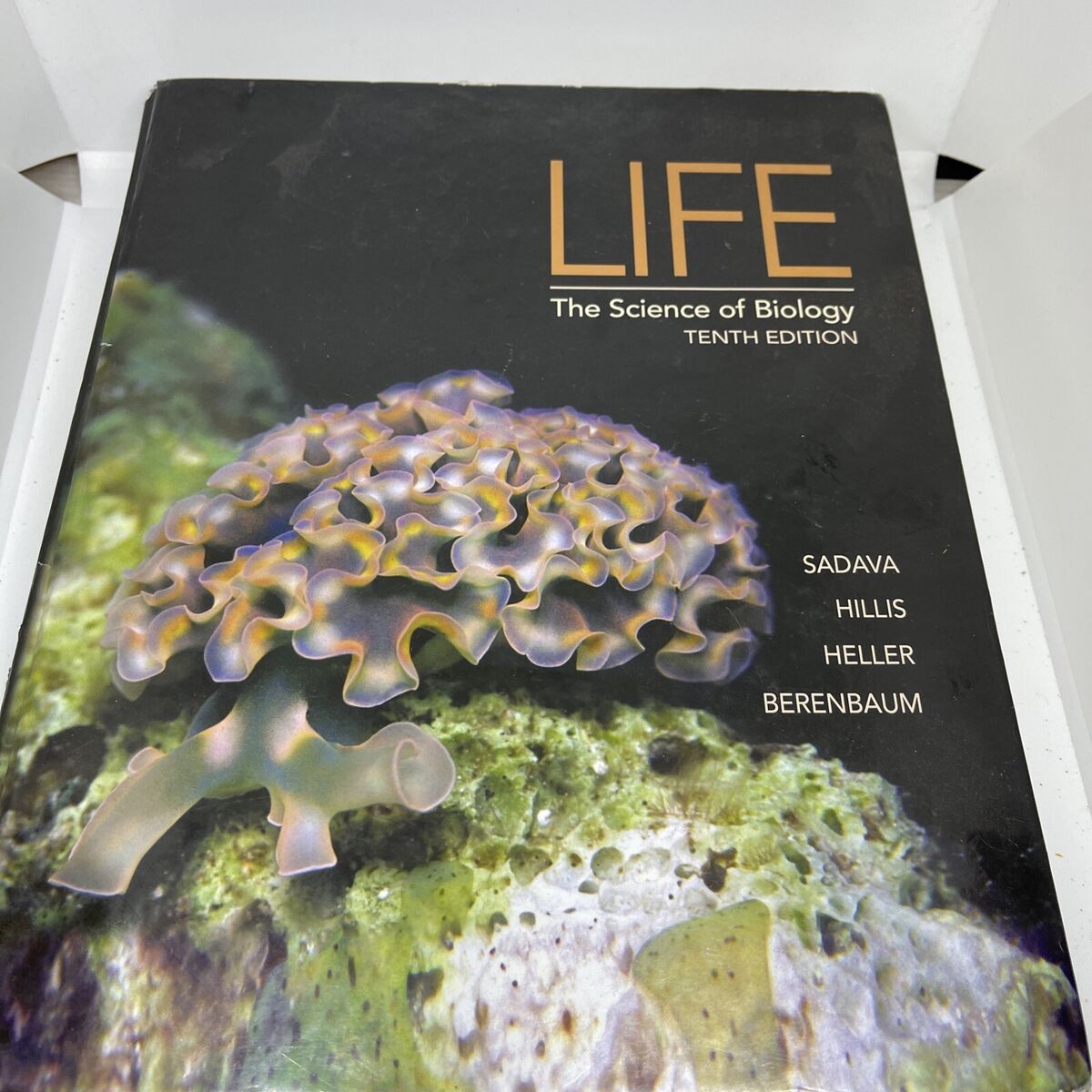 Life: The Science of Biology - Hardcover By Sadava, David E Life: The Science of Biology - Hardcover By Sadava, David E