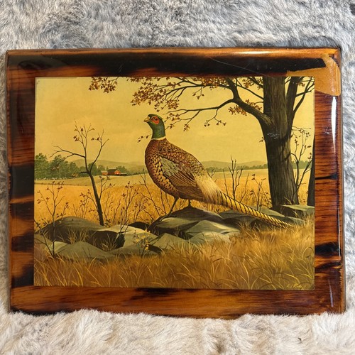 Vintage PHEASANT Print Mounted on Wood Plaque 10.5" x 8.5"