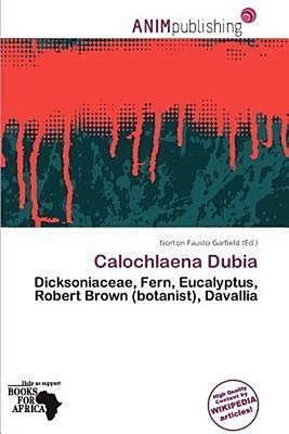 Calochlaena Dubia Norton Fausto Garfield