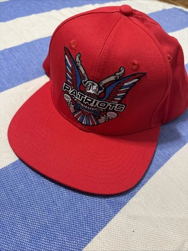 The Label New England Patriots Vintage Embroidered Snapback Hat Brand New