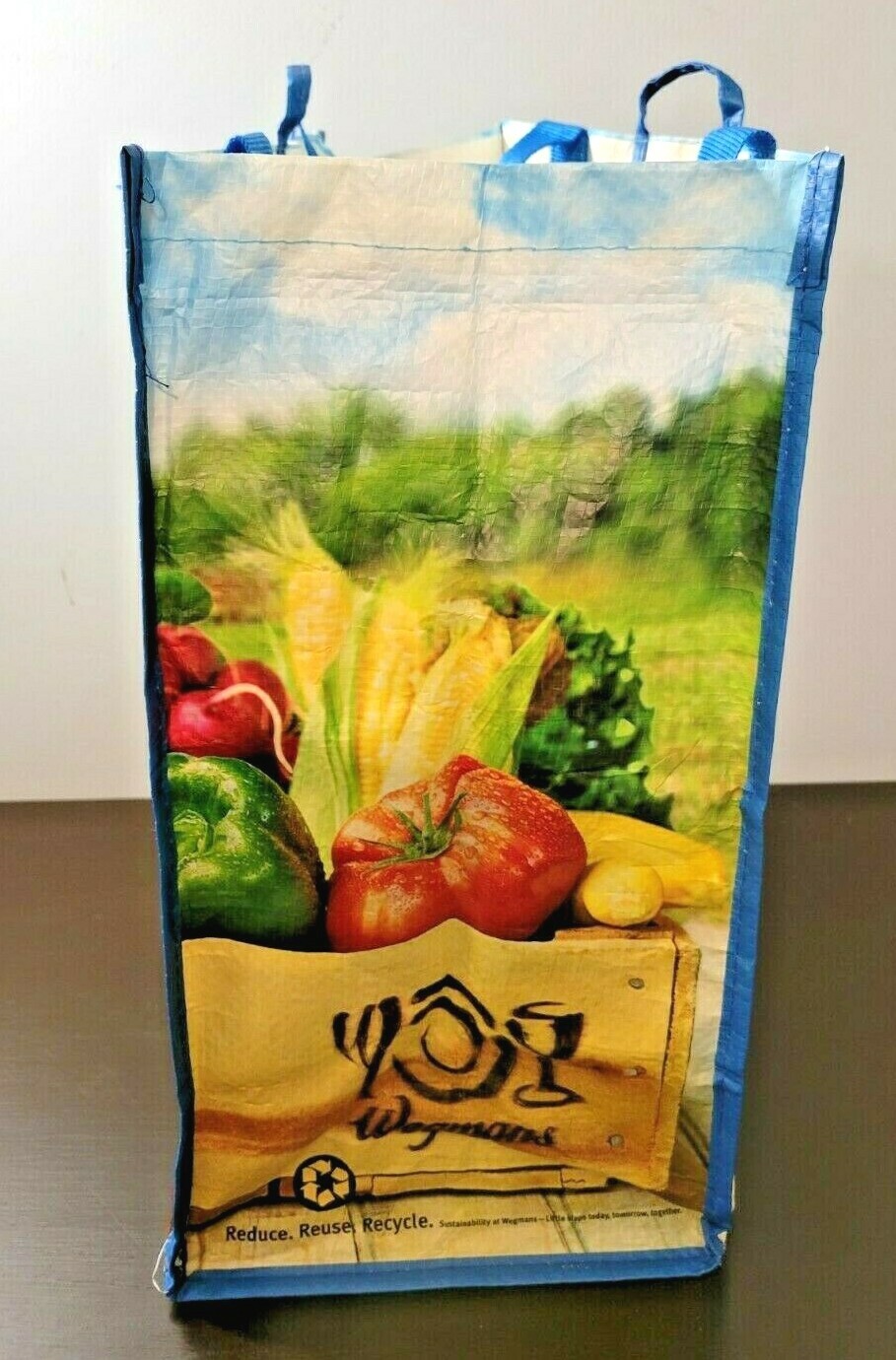 Wegmans Reusable Grocery Shopping Bag Tote Eco Friendly w/Liner eBay