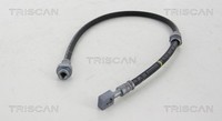 Bremsschlauch Triscan 8150 142110 FüR Nissan Cabstar F24M F24W NT400 Dci F91AN