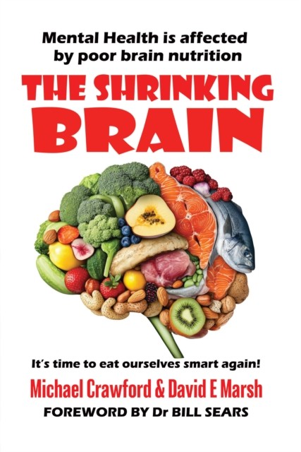 The Shrinking Brain: Mental Health is affected by poor brain nutrition - Image 2