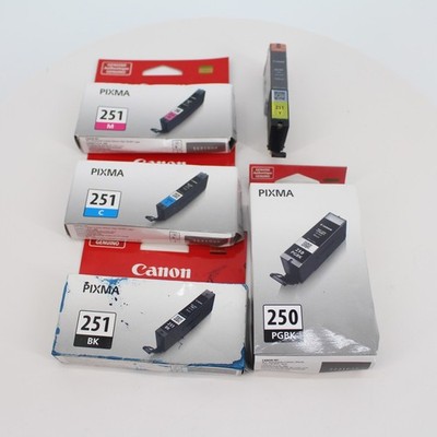 Canon 250 251 Ink Cartridge PGI250 CLI251 Set of 5 NEW OEM Genuine