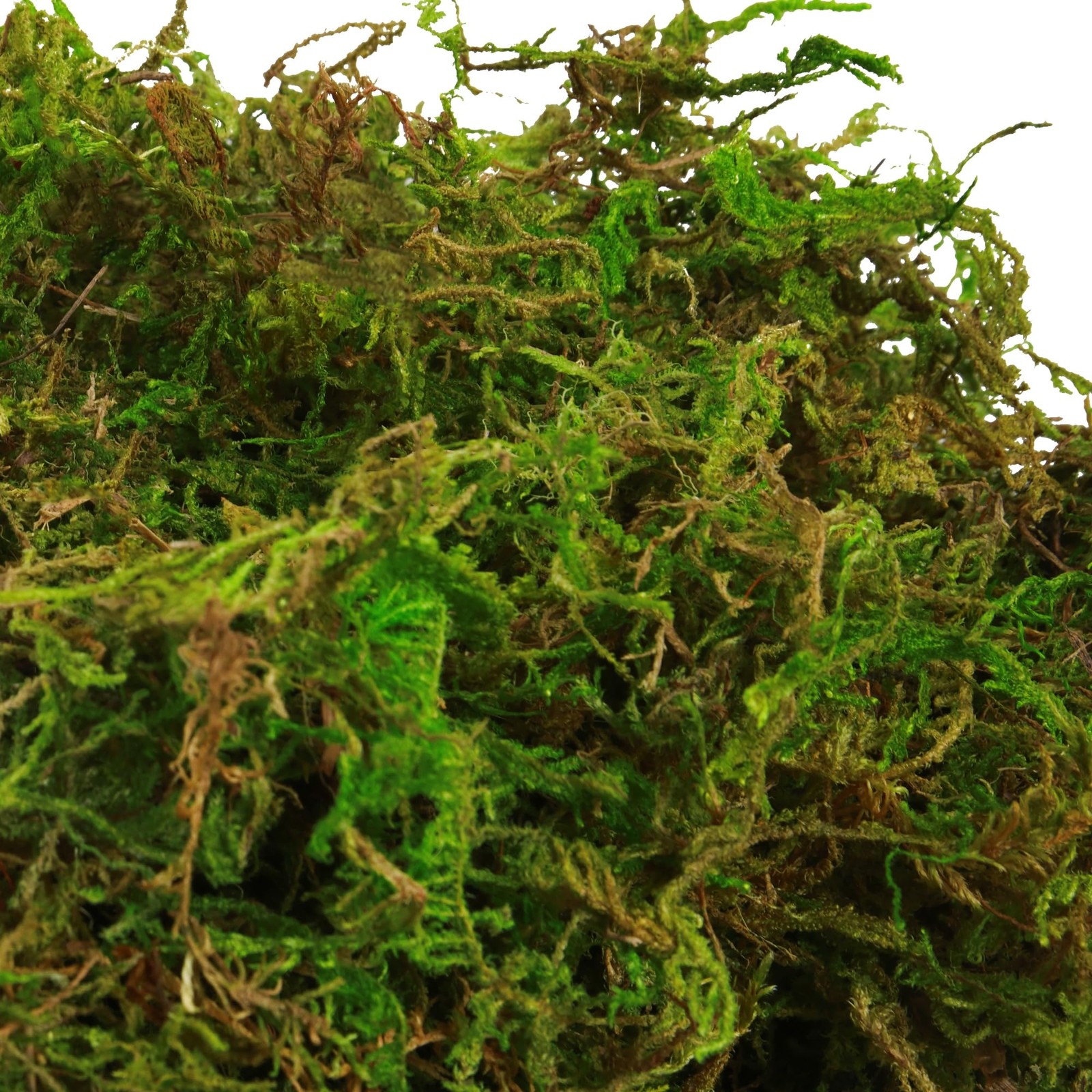 35oz (2.18 Pounds) Green Artificial Moss for Indoor Crafts, Fairy Gardens, Ta...