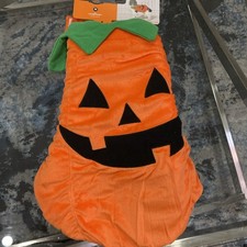 Halloween Plush Pumpkin Dog and Cat Costume - Hyde  EEK Boutique Medium