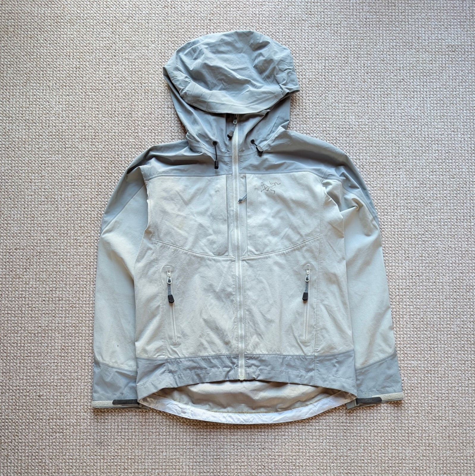 Arc'teryx Alpha Comp Felpa con Cappuccio Grigio "Statua" Uomo Medium #ARC348