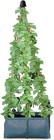 Pea & Runner Bean Planter Vegetable Plant Growing Bag Pot Garden Support Frame