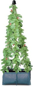 Pea & Runner Bean Planter Vegetable Plant Growing Bag Pot Garden Support Frame