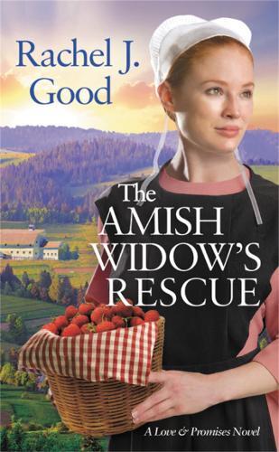 Rachel J. Good The Amish Widow's Rescue (Tascabile)
