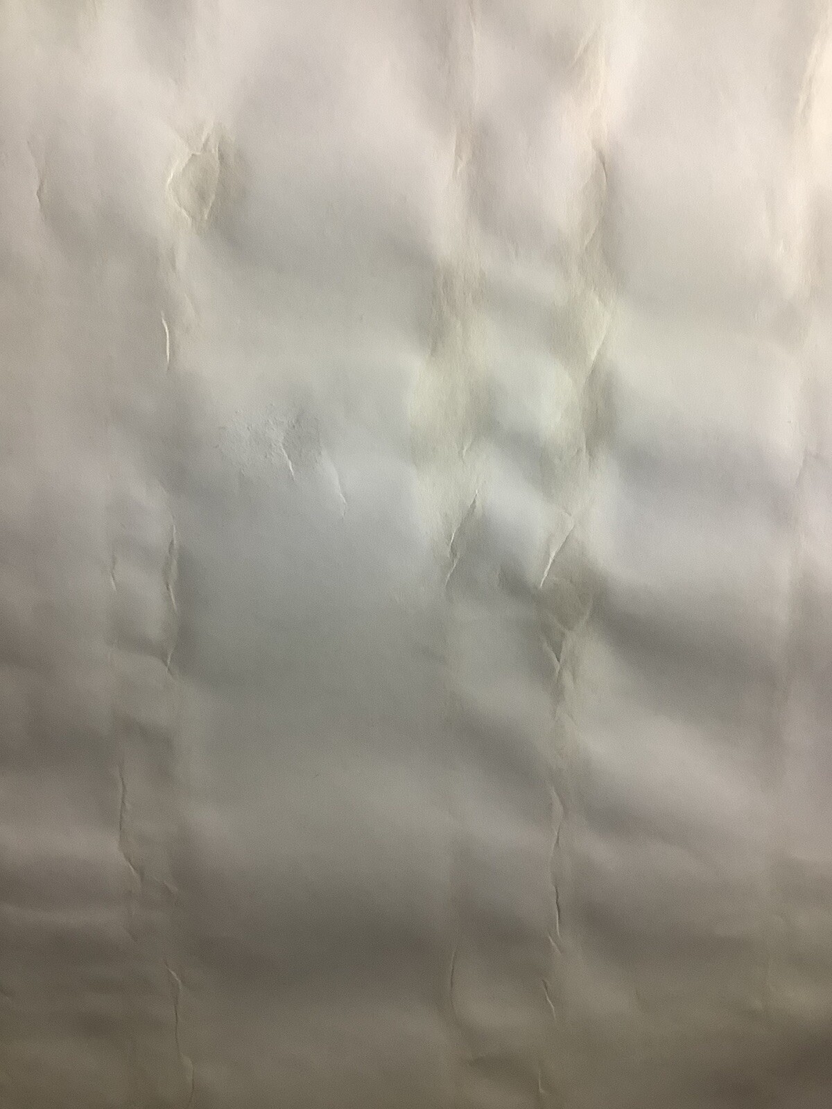 Picture 16 of 16