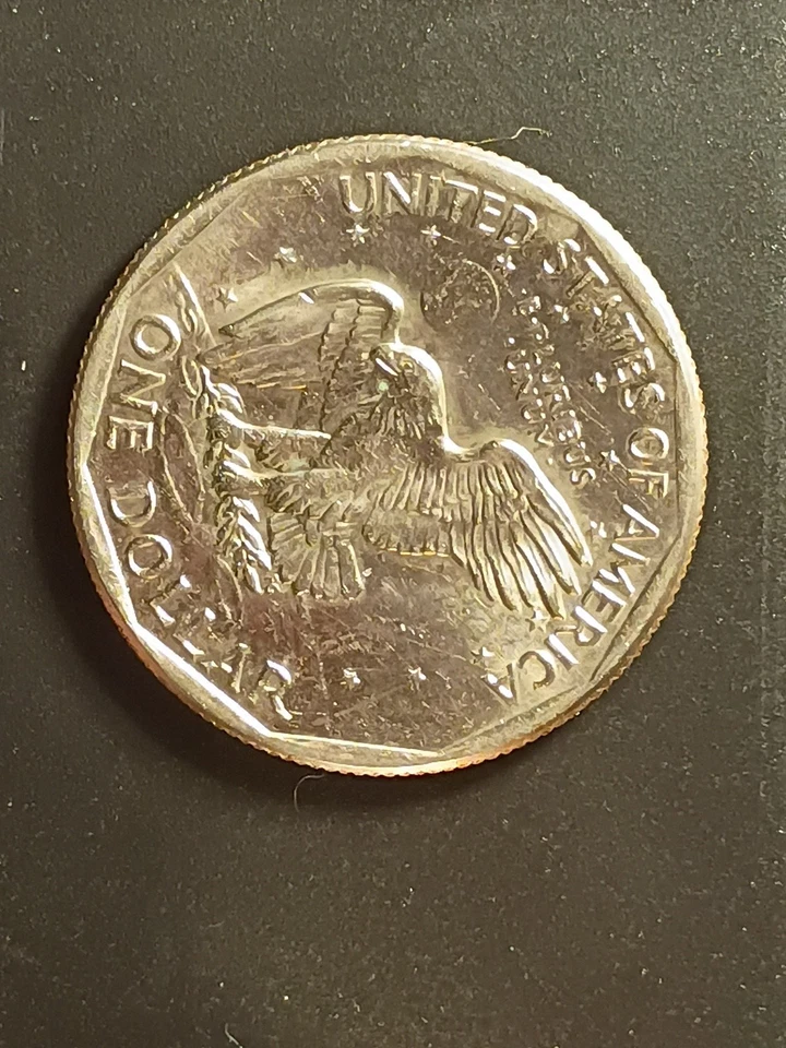 D Susan B Anthony Dollar 1980 borde ancho circulado Foto 4 de 4