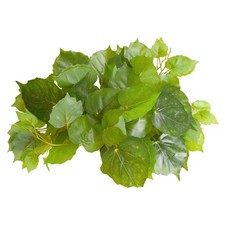 Reptile Treasures Pothos Plant 60 inch