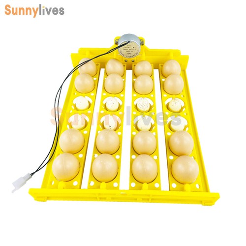 24 Huevos Tipo Cesta Incubadora Bandeja Huevos Pequeña Incubadora Accesorios 110V/220V - Imagen 7 de 18