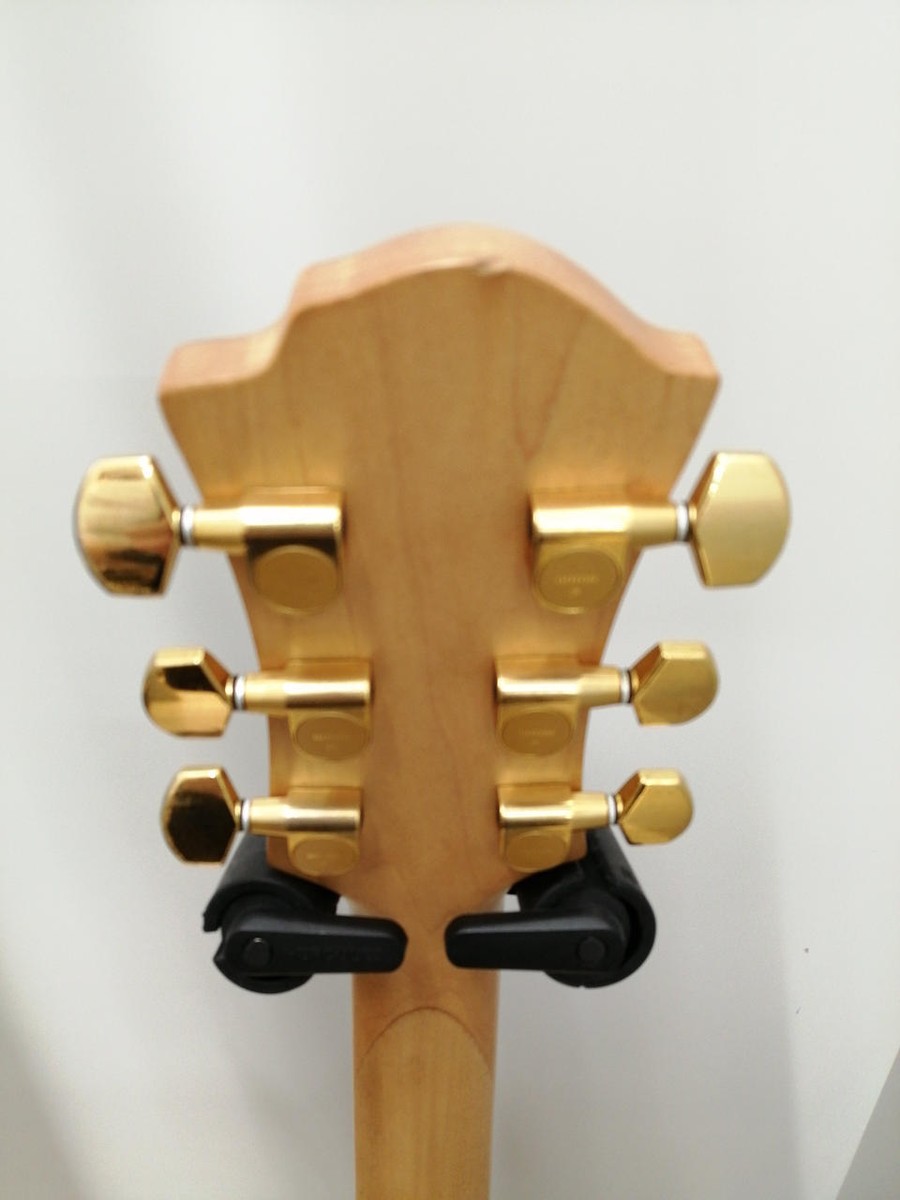 アルプスマーモット　Fernandes 　ギター Fernandes The Function Made in Japan Guitar Black | The