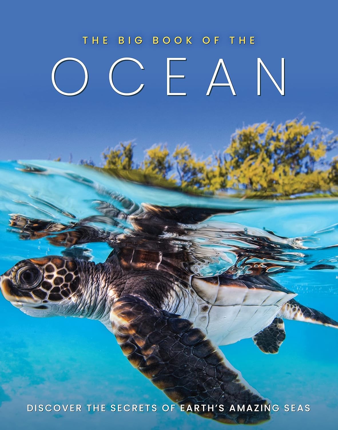 The Big Book Of Ocean: Discover the Secrets of Earth's Amazing Seas - Image 6
