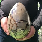 11.2LBNatural quartz crystal yellow turtle-backed egg — photo 7