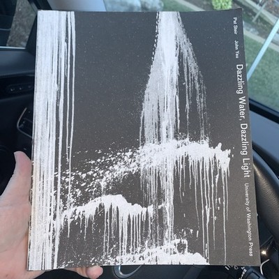 DAZZLING WATER, DAZZLING LIGHT By Pat Steir & John Yau *Excellent Condition*