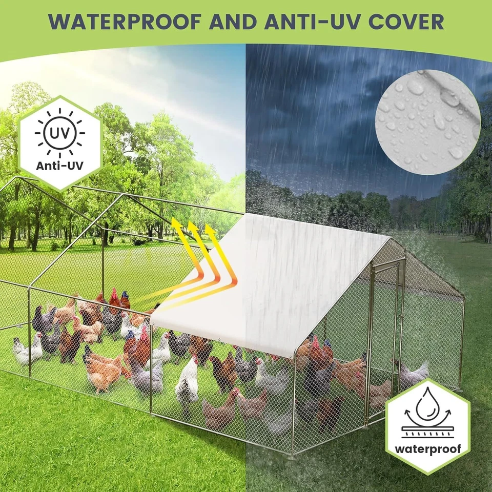 20x10金属鸡舍步入式家禽笼宠物屋带鸡跑盖 — 第 4/4 张图片