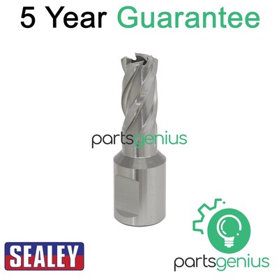 Sealey Worksafe �� 14 mm HSS Mag Bohrer Schnitttiefe 25 mm RBHSS14S