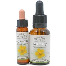 Remède Fleurs De Bach Véritable 25 ml Gorgé Dans Brandy Bio