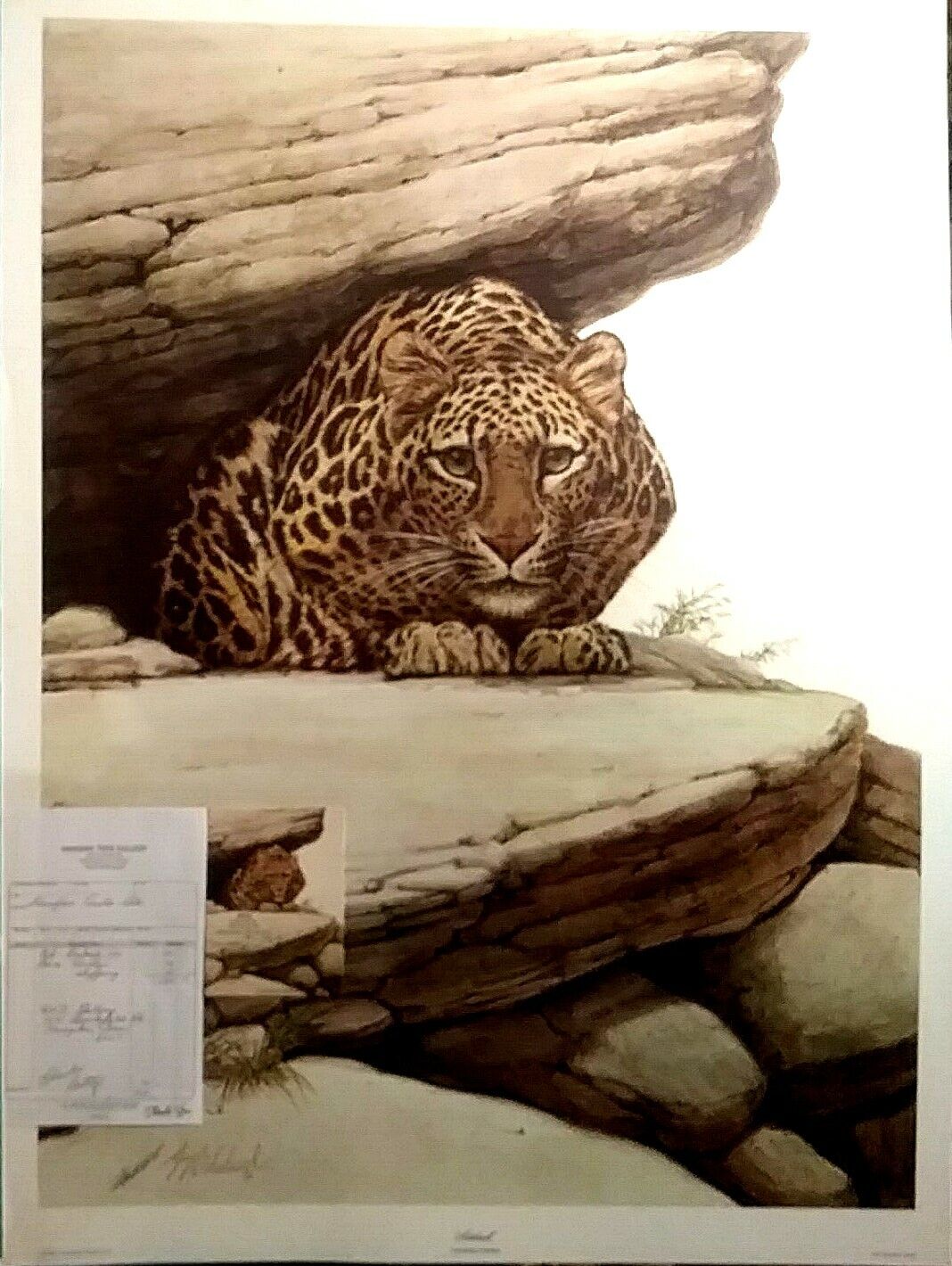 Picture 3 of 9