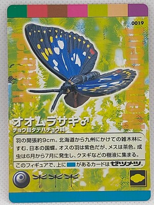Purple Emperor   Kaiyodo Natural Monuments Card Japan Insect【KaiyodoCard】