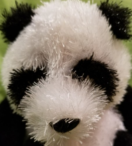 Ganz Webkinz Plush Stuffed Animal Retired Adorable Shaggy Panda Bear Toy No Code - Picture 7 of 12