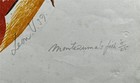 Imagen 4 de 8