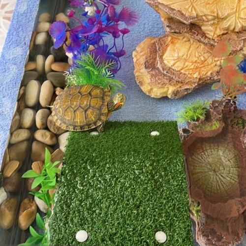 Lawn Turtle Basking Platform Turtle Resting Basking Platform, Simulation8379 - Picture 6 of 10