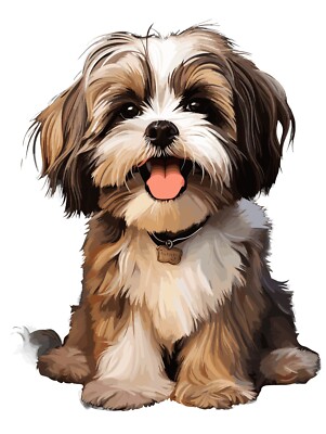 50X Shih Tzu Auto Aufkleber 9x9 cm Hunde Sticker Wetterfest & Selbstklebend