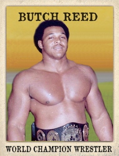 LJACards Weltmeister Wrestler Serie 3 Sammelkarten ACEO (2. Druck) - Bild 6 von 24