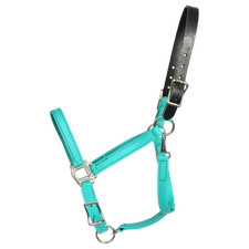 HORSE SIZE- READY MADE - Teal TURNOUT HALTER and LEAD Made from BETA BIOTHANE