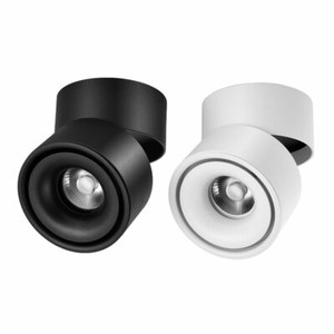 15w Cob Led Ceiling Surface Mount Downlight 90 Tilt Movable Wall