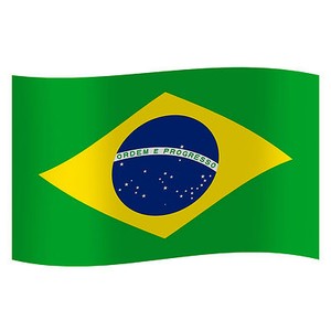 Brasilien Brasilianische Flagge Fur Rio De Janeiro Karneval Festival 3 X 5 Ft Ebay Brasilien Brasilianische Flagge Fur Rio De Janeiro Karneval Festival 3 X 5 Ft Ebay