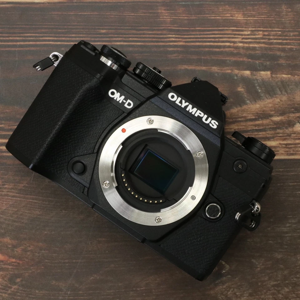 Olympus OM-D E-M5 Mark III noir sans miroir ShutterCount 4853 [Top Mint] #8020 - Photo 1/4