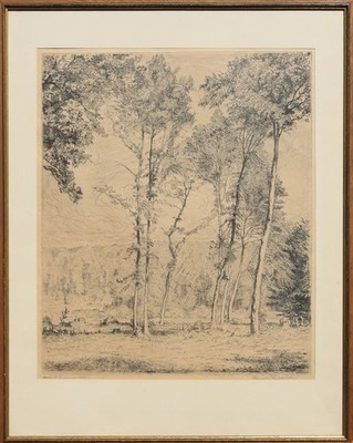 Hermann Kätelhön. Orig.- Radierung. Bäume am Waldrand. Um 1919.