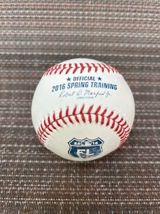 2016 MLB Spring Training Rawlings Baseball FL Official Game Used Ball 