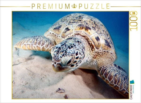 Calvendo Puzzle Portrait Of A Turtle | 1000 Pieces, Finished Size 25.2 × 18.9 In-image